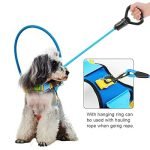 Blind Dog Accessories: Enhance Mobility & Comfort