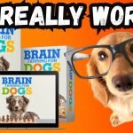 Brain Training for Dogs: Boost Your Pup’s Intelligence