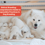 Breeding Dogs: Expert Tips for Successful Pairing
