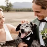 Bride And Groom With Dog: Perfect Wedding Companions