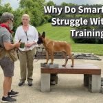 Bubble Theory Dog Training: Transform Behavior Fast