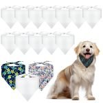 Bulk Dog Accessories: Unbeatable Deals for Pet Owners