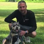 Bully Dog Training: Unlock Your Pup’s Best Behavior