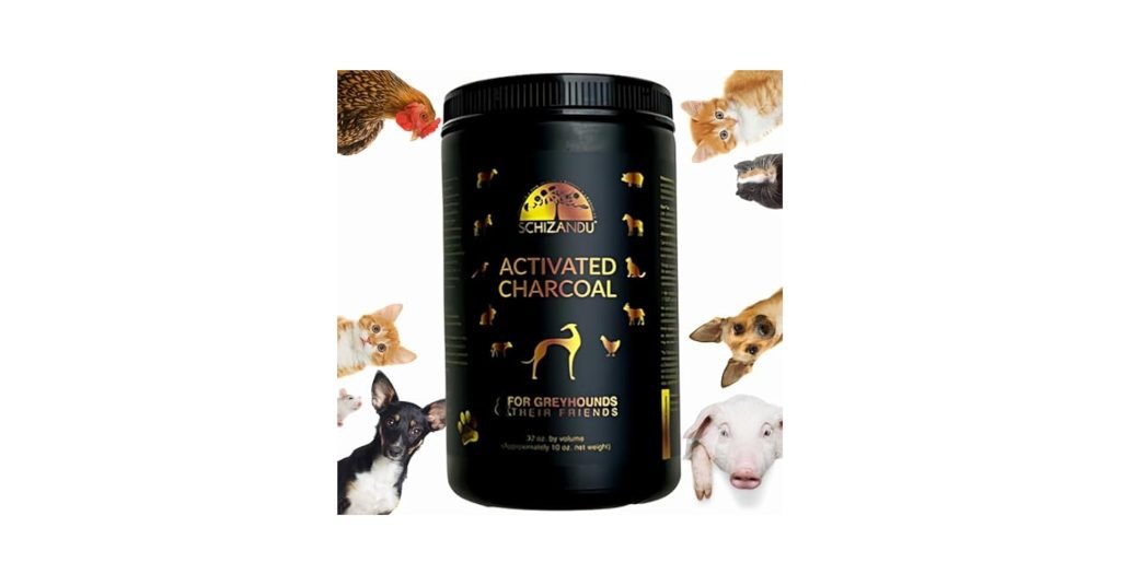 Can Dogs Eat Activated Charcoal: Safety & Benefits Explained
