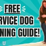 Can You Train Your Own Service Dog: A Complete Guide