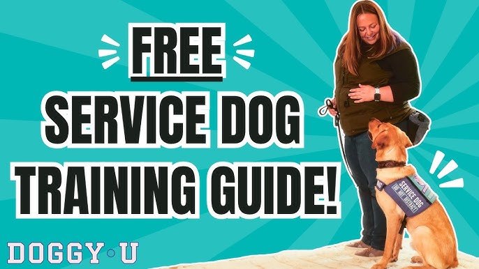 Can You Train Your Own Service Dog: A Complete Guide