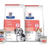 Cancer Diet for Dogs: Boosting Health Naturally