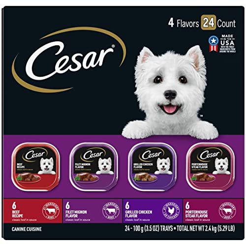 Cesar Dog Food Review: Delicious Variety Packs Your Small Dog Will Love