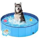 Collapsible Dog Pool Portable: Easy, Durable Swimming Solution for Pets