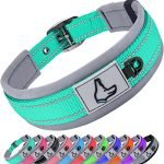 Comfort Collars for Dogs: Top Durable, Reflective, and Padded Picks
