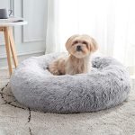 Comfort Dog Bed: Top Calming, Orthopedic, and Plush Options for Pets
