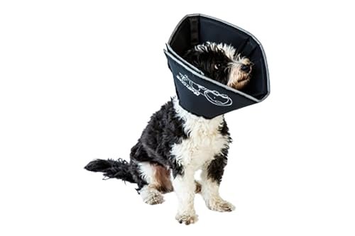Comfort Dog Cone: Soft, Adjustable Recovery Collar for Post-Surgery Care