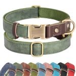 Comfortable Collar for Dogs: Top Adjustable, Reflective, and Durable Picks