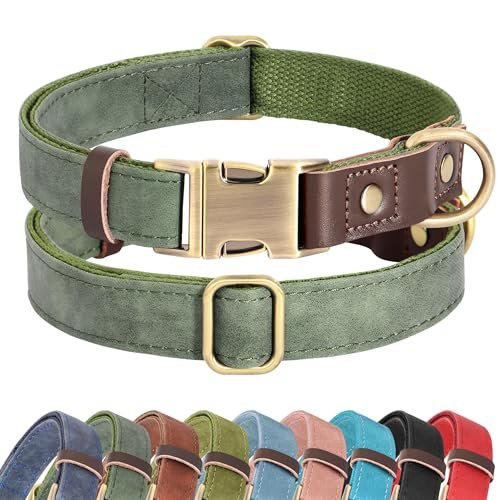 Comfortable Collar for Dogs: Top Adjustable, Reflective, and Durable Picks