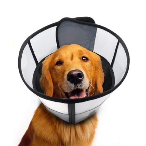 Comfortable Cones for Dogs: Top Soft Recovery Collars for Healing Pets