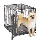Comfortable Dog Kennels: Top Collapsible Crates for Travel and Home