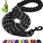 Comfortable Dog Leash with Padded Handle and Reflective Safety Features