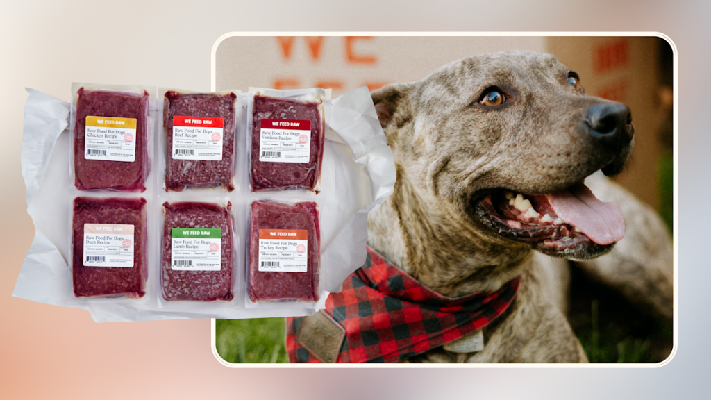 Complete Raw Diet for Dogs: Unlock Ultimate Health