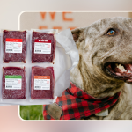 Complete Raw Diet for Dogs: Unlock Ultimate Health