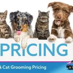 Cost of Mobile Dog Grooming: Affordable Pampering Solutions