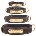 Custom Leather Dog Collar: Stylish, Durable, and Personalized for Your Pet