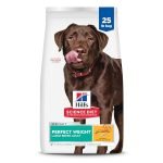 Diet Dog Food for Large Breeds: Optimize Health Naturally