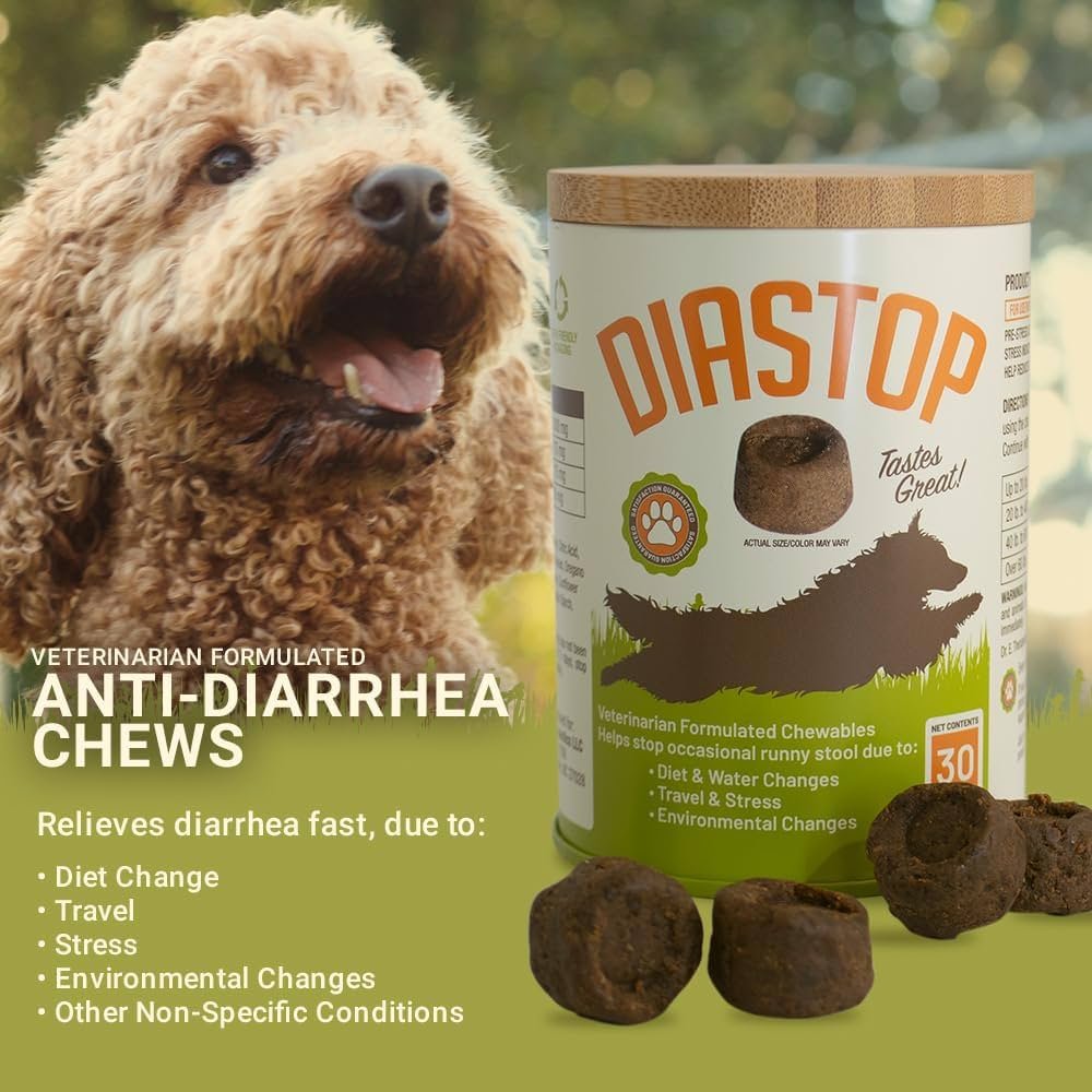 Diet for Dog Diarrhea: Effective Solutions to Soothe