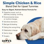 Diet for Dog With Diarrhea: Effective Recovery Tips