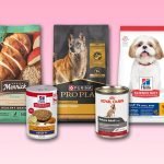 Diet for Elderly Dogs: Essential Nutrition Tips