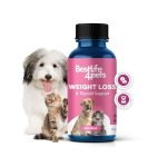 Diet Pills for Dogs: Safe Solutions for Weight Management