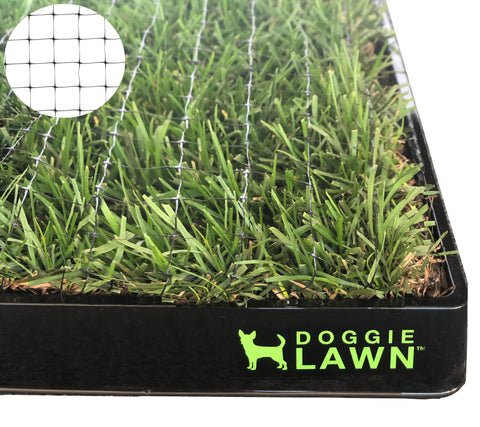 Digging in Yard – Behaviour Fix: Stop Pet Destruction