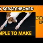 Diy Dog Training: Transform Your Pup’s Behavior Today