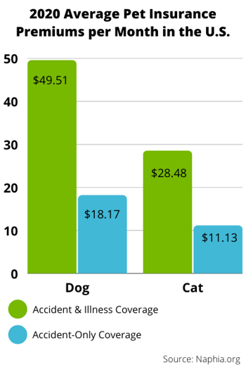 Do Dogs Or Cats Cost More to Insure? Uncover the Truth