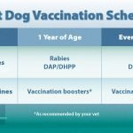 Does Dog Insurance Cover Vaccines? Essential Insights