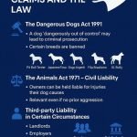 Does Pet Insurance Cover Dog Bites: Essential Insights