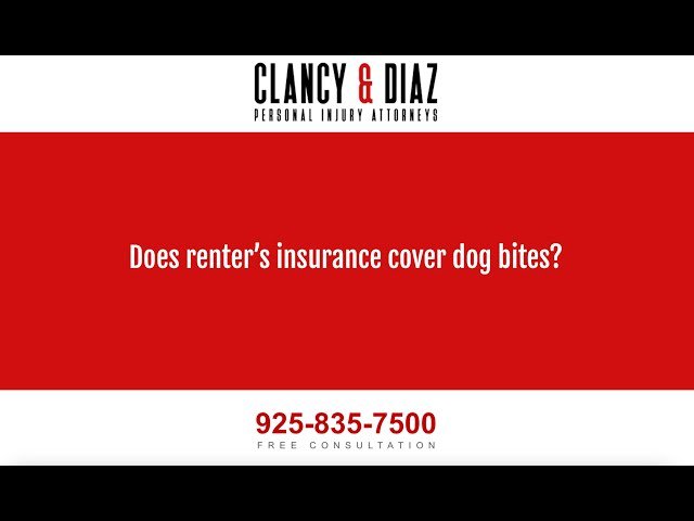 Does Renter Insurance Cover Dog Bites? Essential Insights