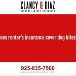 Does Renters Insurance Cover Dog Attacks: Essential Guide