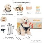 Dog Accessories List: Essential Gear for Happy Pets