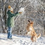 Dog Activities in Winter: Fun Ways to Keep Dogs Active