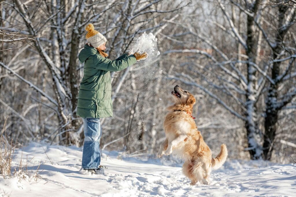 Dog Activities in Winter: Fun Ways to Keep Dogs Active