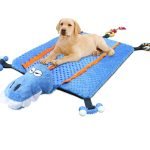 Dog Activity Mat: Enhance Your Pup’s Playtime Fun