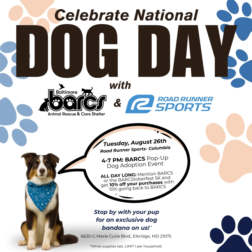 Dog Adoption Charity Events: Transform Lives Today