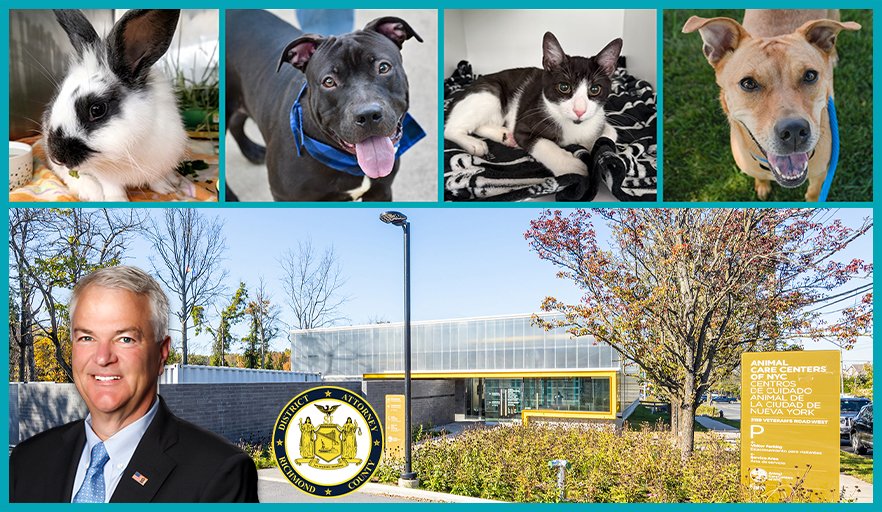 Dog Adoption Events: Find Your Furry Friend Today!