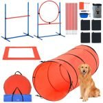 Dog Agility Training Accessories: Boost Performance Fast