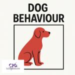 Dog Behaviour Courses: Transform Your Pet’s Life