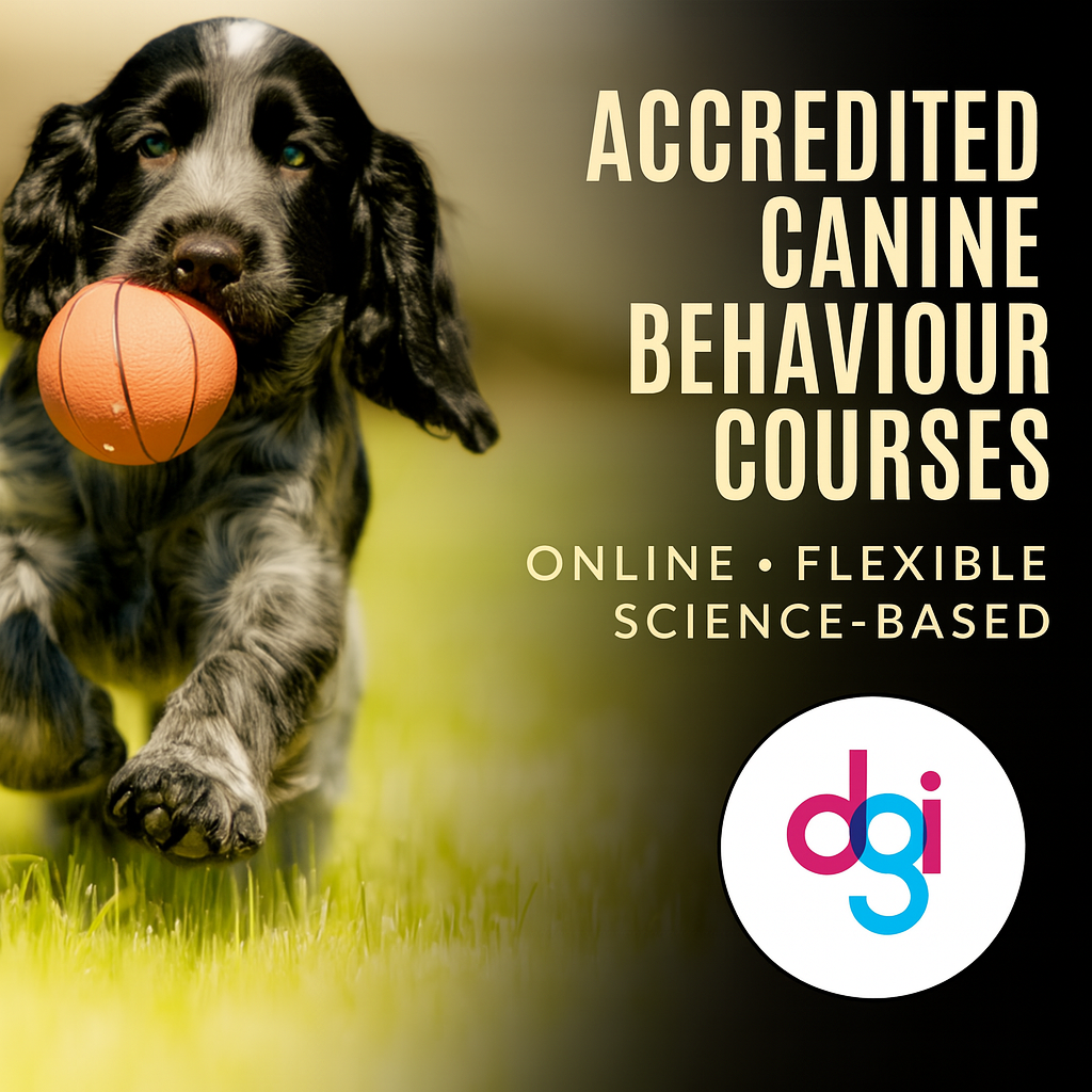 Dog Behaviour Courses Online: Transform Your Pet’s Life