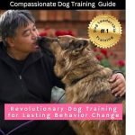 Dog Behaviour Modification Training: Transform Your Pet’s Life