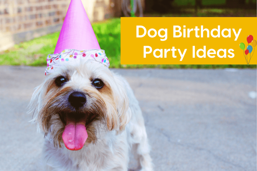 Dog Birthday Party Activities: Unleash Fun and Joy