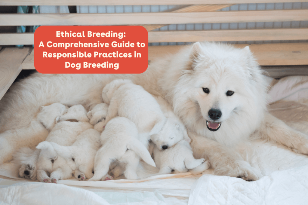 Dog Breeding: Expert Tips for Healthy Puppies