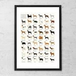 Dog Breeds A to Z Photos: Ultimate Visual Guide